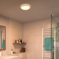 Philips Spray Bathroom Luminaire Flush To Ceiling Light