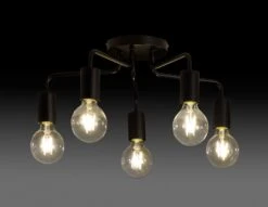 Habitat Rayner Steel 5 Light LED Flush Ceiling Light - Black -Trend Furniture 1518261 R Z002A