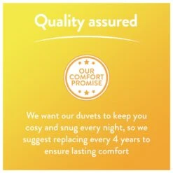 Slumberdown Summer Non Allergic 4.5 Tog Duvet - Single -Trend Furniture 2842905 R Z011A