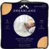 Dreamland Ivory Supersoft Dual Control Overblanket-King -Trend Furniture 4463973 R Z001A