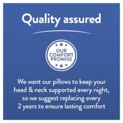 Slumberdown Cool Max Memory Support Firm Pillow 22 Slumberdown Cool Max Memory Support Firm Pillow -Trend Furniture 4539481 R Z010A