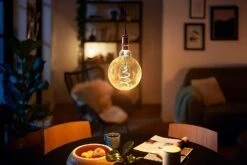 Philips LED Filament E27 6.5W (40W) Dim Giant Bulb + Cord -Trend Furniture 8957935 R Z004A