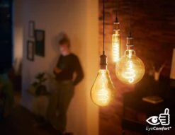 Philips LED Filament E27 6.5W (40W) Dim Giant Bulb - Gold -Trend Furniture 9193798 R Z004A