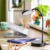 Habitat Mopsa LED Desk Lamp - Black -Trend Furniture 9405187 R Z001A