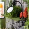 Habitat Mopsa Clip Lamp - Black 2 Habitat Mopsa Clip Lamp - Black -Trend Furniture 9405338 R Z001A