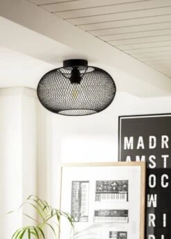 Habitat Tumba Mesh Flush To Ceiling Light - Black -Trend Furniture 9481156 R Z002C
