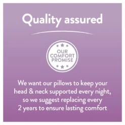 Slumberdown Duvet Days 10.5 Tog Duvet And Pillow Set -Single -Trend Furniture 9554911 R Z011A