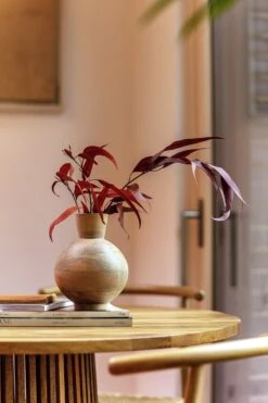 Habitat Mango Wood Vase - Natural -Trend Furniture 9573662 R Z005C