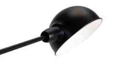 Habitat Jalonee Double Arm Floor Lamp - Black & Brass 18 Habitat Jalonee Double Arm Floor Lamp - Black & Brass -Trend Furniture 9616127 R Z006A